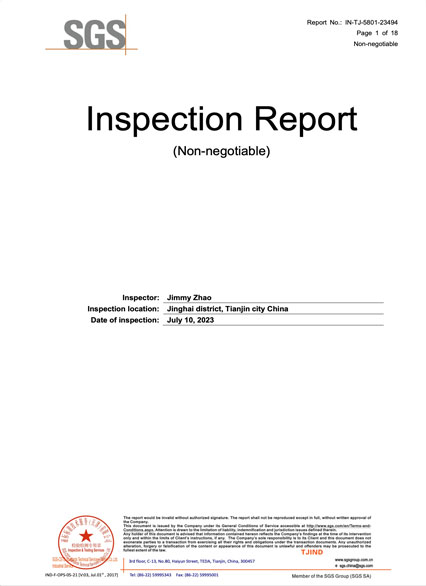 rapport d'inspection